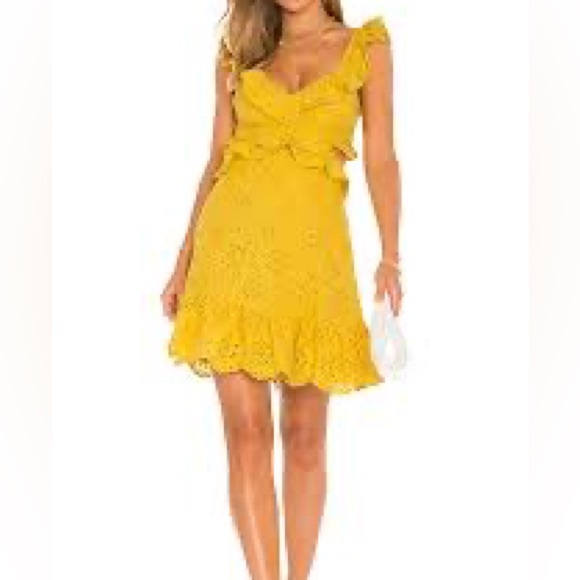 Astr Dresses & Skirts - Elora Dress in Mustard
ASTR THE LABEL